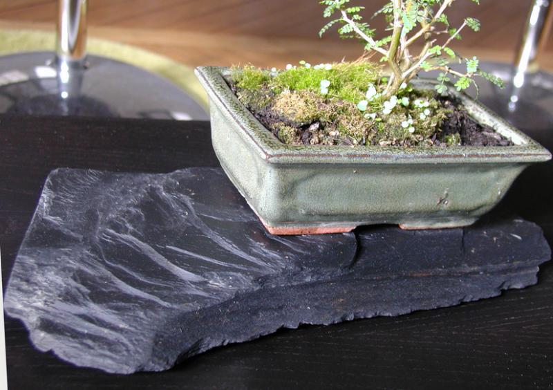 Ikbana, ardoise support pour bonsai, Sylkoan