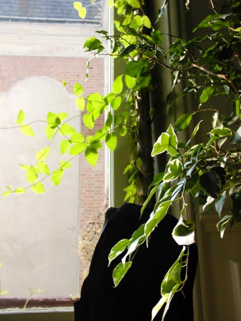 Stelle en ardoise, Design made in Terre